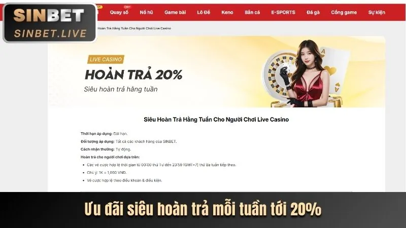 Hoàn Trả Thua Cược